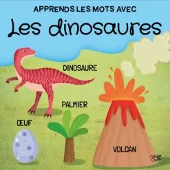SASSI JUNIOR Q-BOX. LES DINOSAURES -Pas Cher JoueClub Magasin 26550e56dd2751031fa159ac80ae1e085e6a8fbb 41031371 03