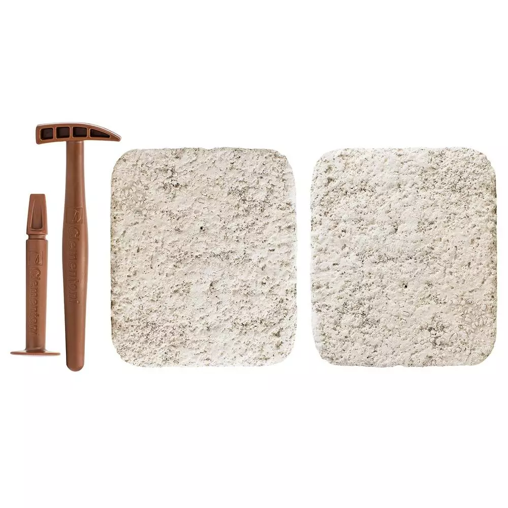 Clementoni ARCHEO LUDIC T REX ET TRICERATOPS PHOSPHORESCENT 5 Clementoni ARCHEO LUDIC T REX ET TRICERATOPS PHOSPHORESCENT – Image 5