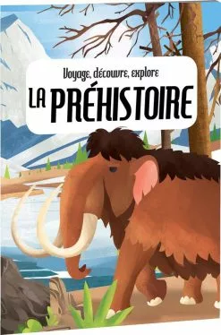 SASSI JUNIOR VOYAGE DECOUVRE EXPLOIRE LA PREHISTOIRE -Pas Cher JoueClub Magasin 51cce9eec2bf36e2c005919f0b7c317f54a7bcfe 41058369 02