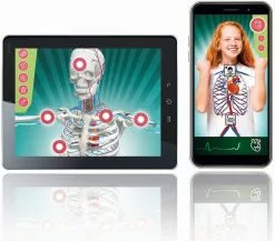 Clementoni L'ANATOMIE - LE CORPS HUMAIN -Pas Cher JoueClub Magasin 585b5b2ce2799aa85eebe64629a5457c1d4097e5 41053722 04