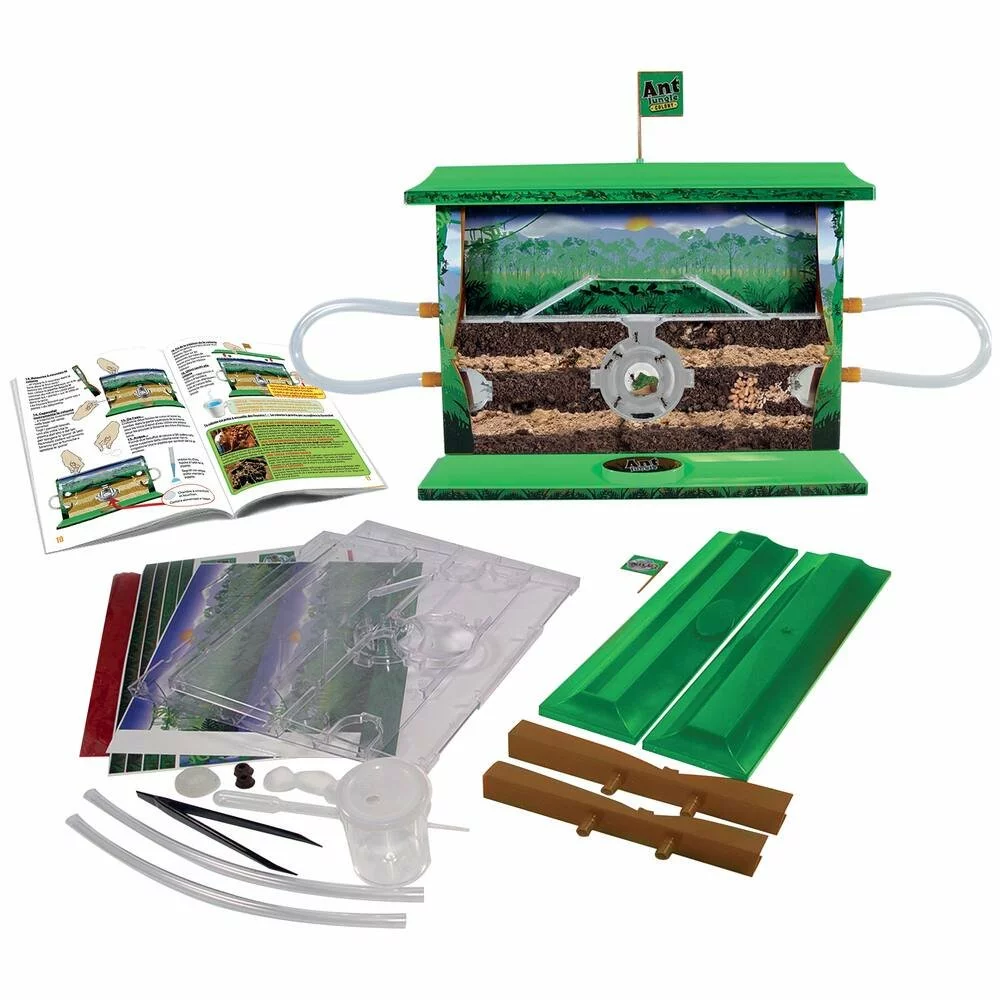 LE LABO DES CURIEUX MA FOURMILIERE 2 LE LABO DES CURIEUX MA FOURMILIERE – Image 2