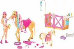 MATTEL POUPEE BARBIE TOILETTAGE DES CHEVAUX -Pas Cher JoueClub Magasin 8e40a68e61913ef4554b4dfc91c7c99c6734f002 10083007 02