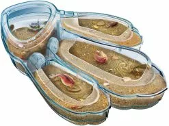 Clementoni TRIOPS LES ANIMAUX PREHISTORIQUES -Pas Cher JoueClub Magasin adf69ce170836417815c28424f82958f583a7ebc 41003579 03