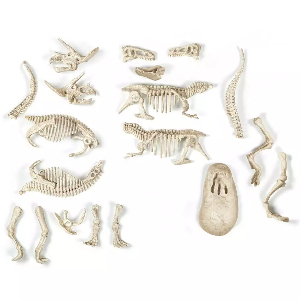 Clementoni ARCHEO LUDIC T REX ET TRICERATOPS PHOSPHORESCENT 4 Clementoni ARCHEO LUDIC T REX ET TRICERATOPS PHOSPHORESCENT – Image 4