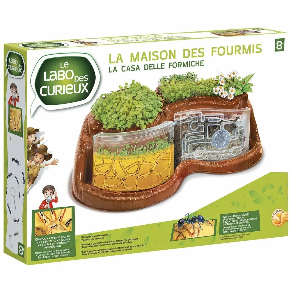 LE LABO DES CURIEUX LA MAISON DES FOURMIS 1 LE LABO DES CURIEUX LA MAISON DES FOURMIS