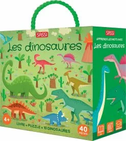 SASSI JUNIOR Q-BOX. LES DINOSAURES